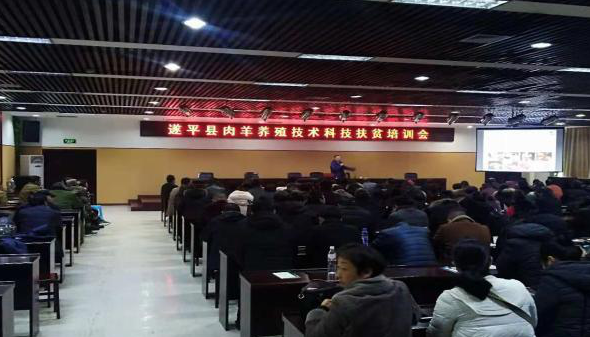 1545100501429844.jpg 1545100498(1).jpg