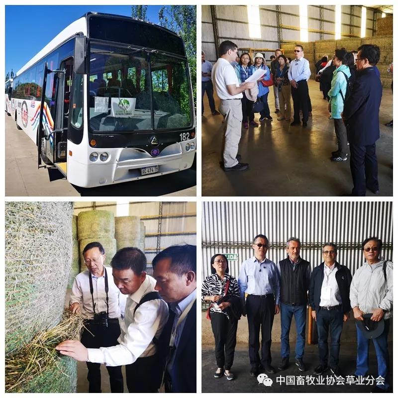 微信图片_20181229143207.jpg
