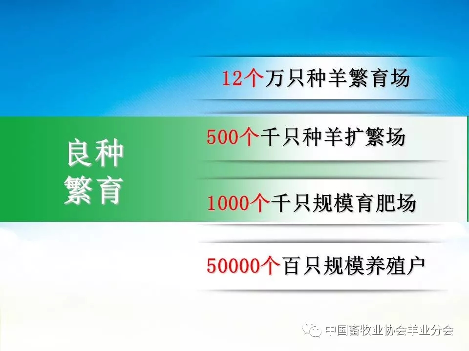 16.webp.jpg