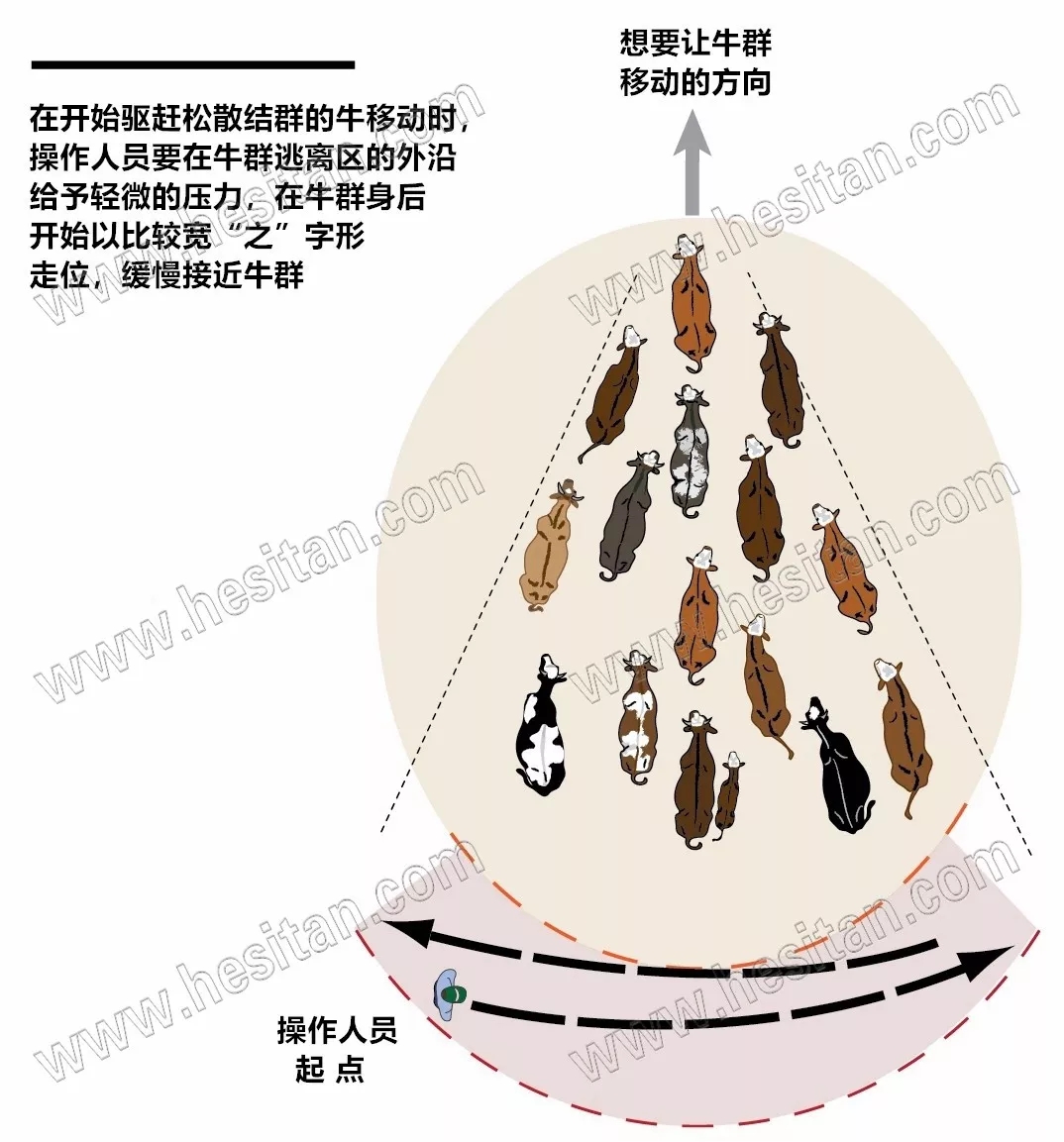 640.webp (5).jpg