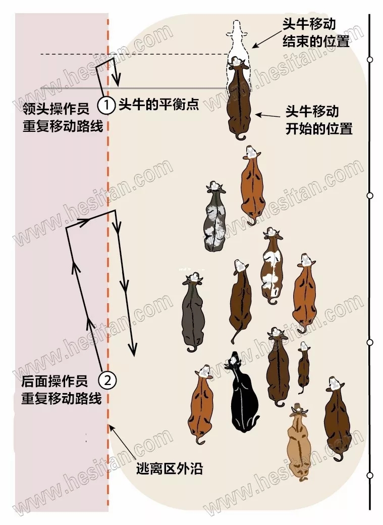 640.webp (8).jpg
