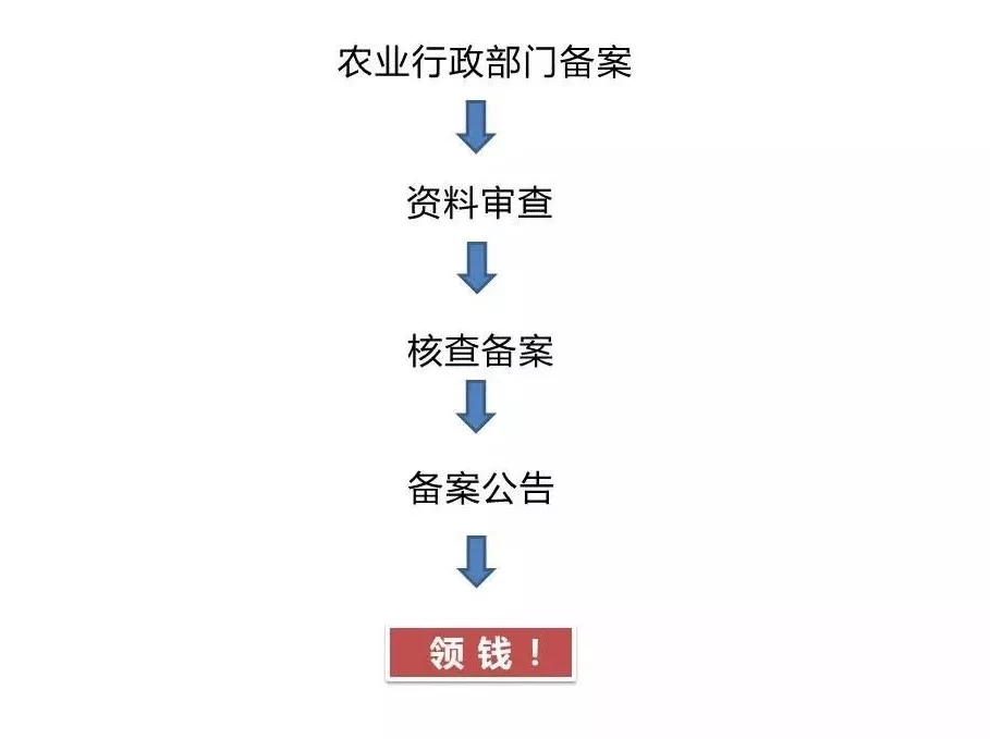 640.webp (1).jpg