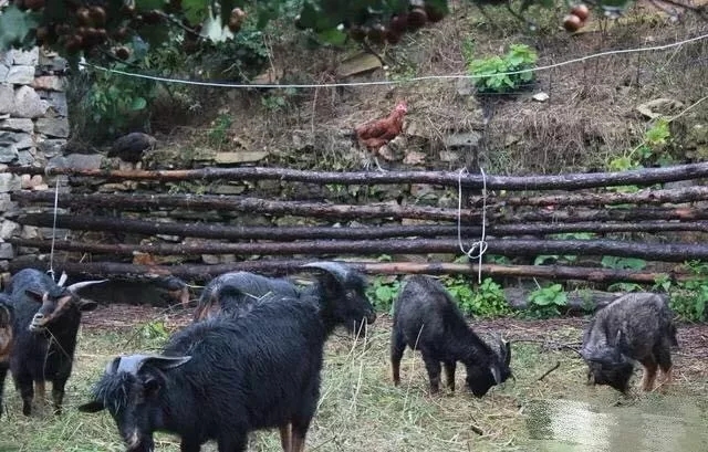 1554686345106882.jpg 640.webp (2).jpg