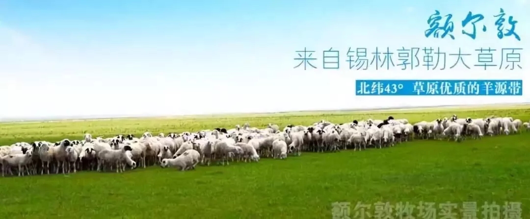 1556413716121216.jpg 640.webp (5).jpg