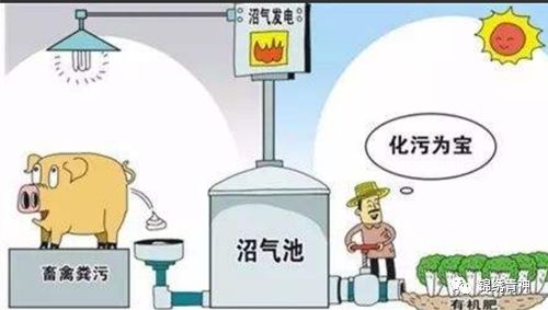 下载.jpg
