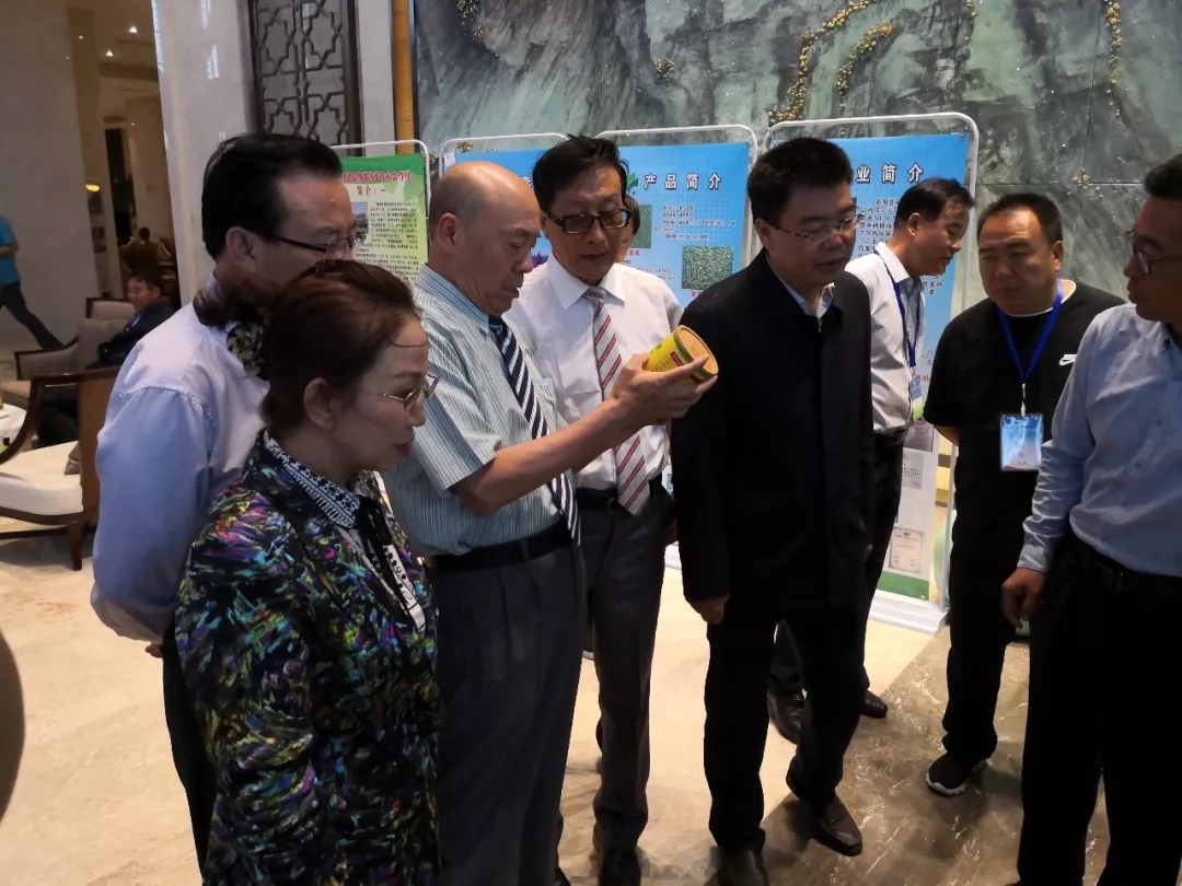 1560387699883485.jpg 640.webp (3).jpg