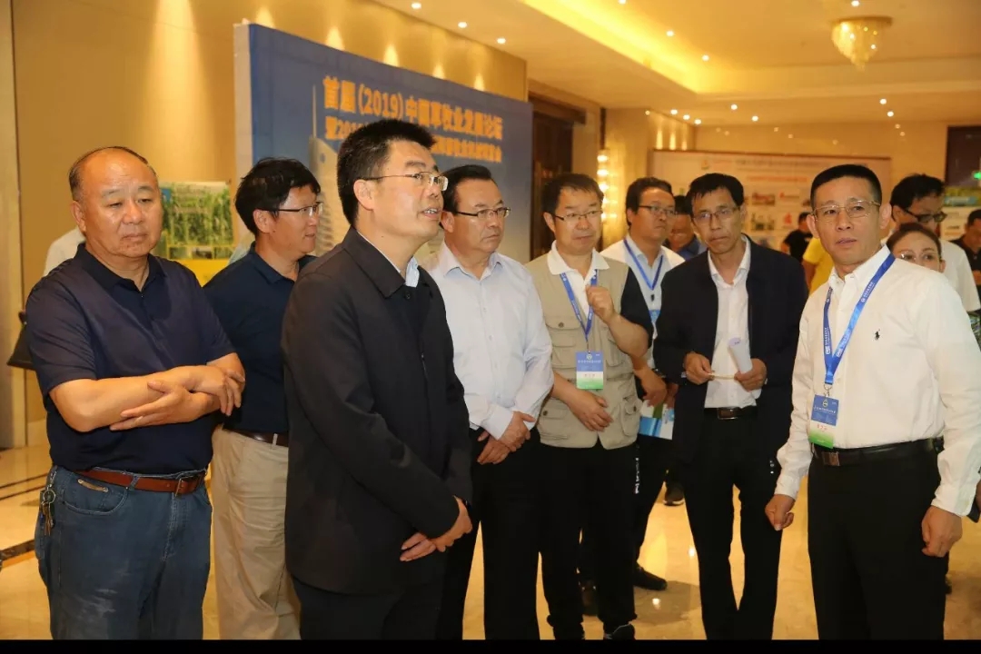 1560387712104425.jpg 640.webp (4).jpg