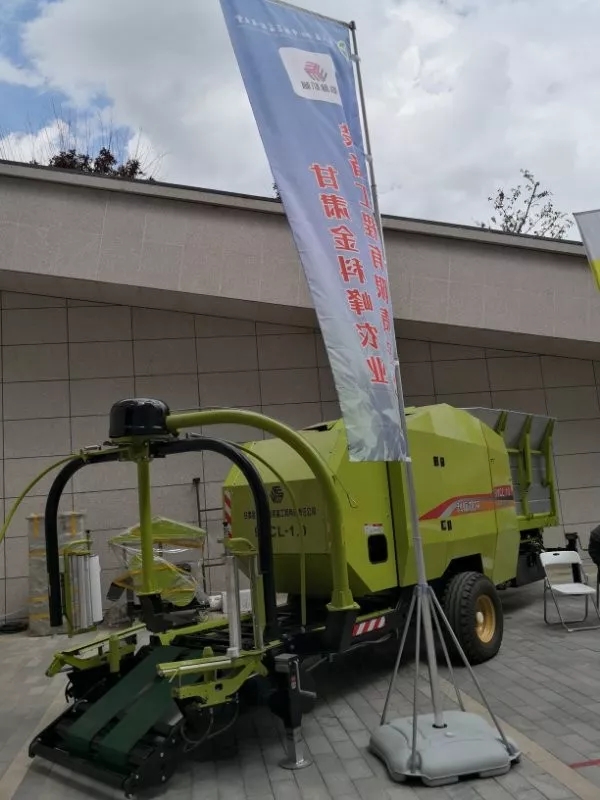 1560387801517242.jpg 640.webp (8).jpg