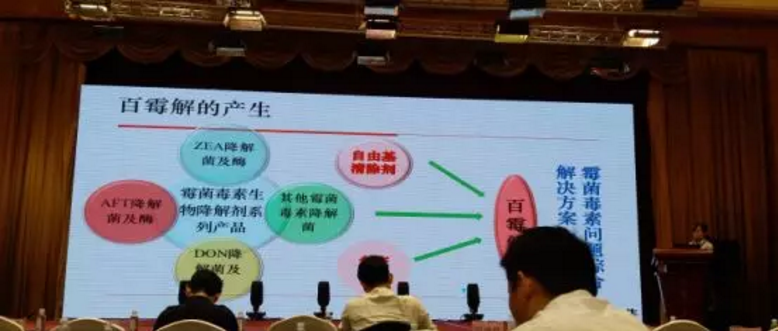 1560762522685926.png 2.png