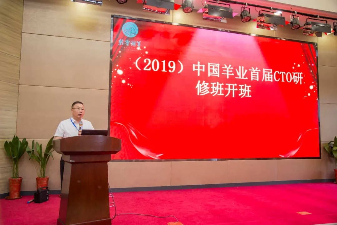 1560914631174795.jpg 640.webp (2).jpg