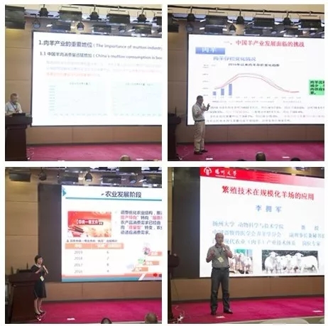 1560914718618280.jpg 640.webp (3).jpg