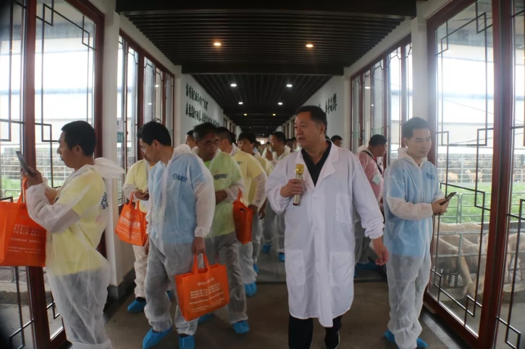 1560914728110131.jpg 640.webp (5).jpg