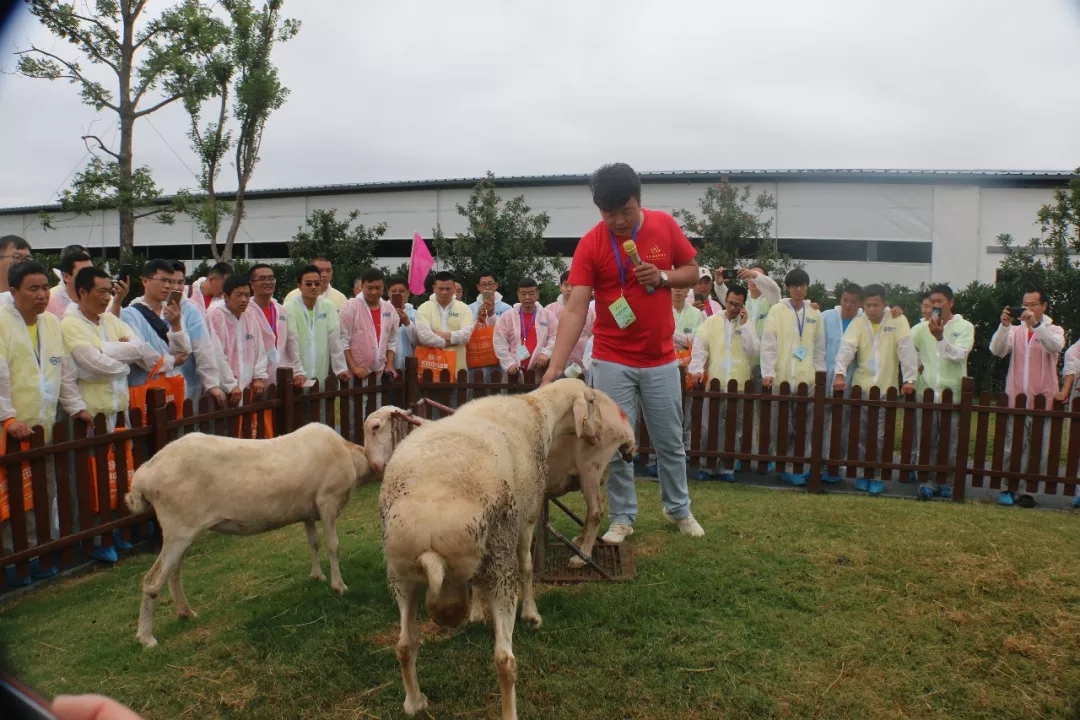 1560914766136742.jpg 640.webp (7).jpg