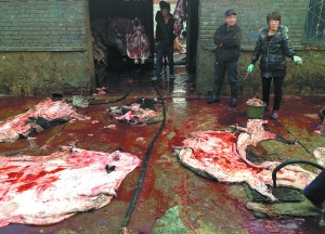 1561017343519264.jpg u=3153631792,598343507&fm=26&gp=0.jpg