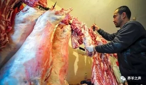 1561684909287753.jpg 640.webp (1).jpg