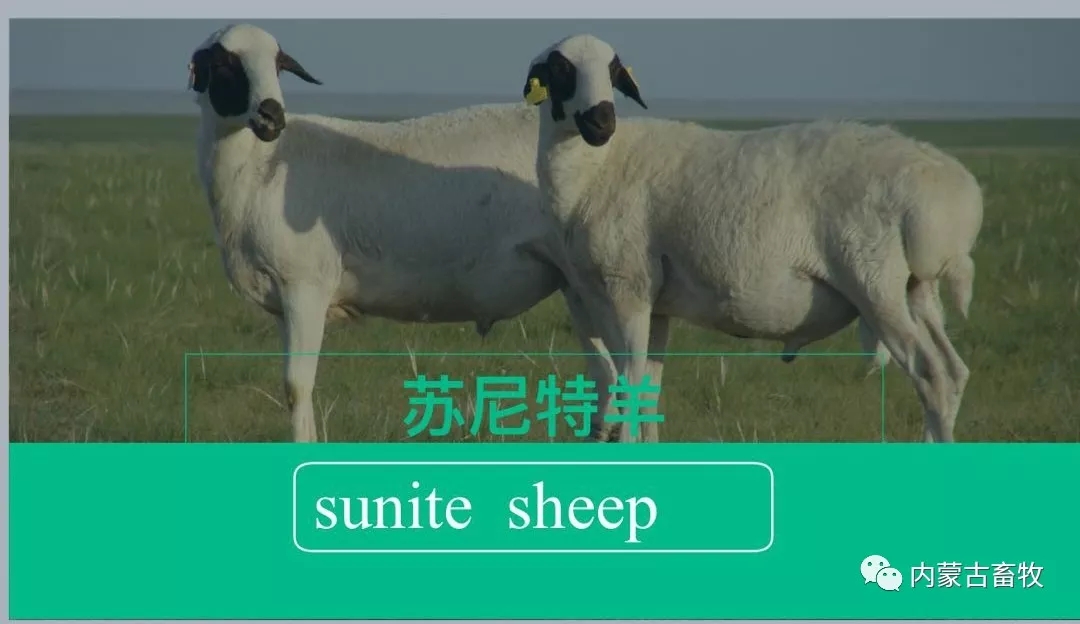 640.webp.jpg