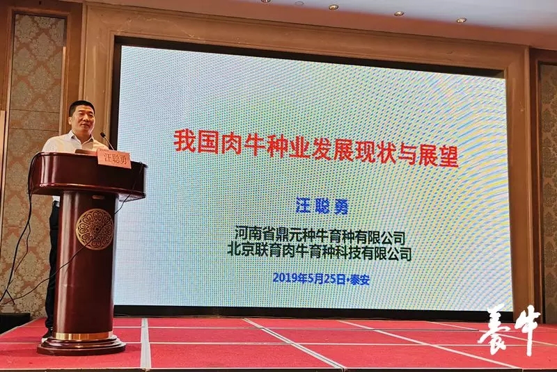 1562201073970624.jpg 640.webp.jpg