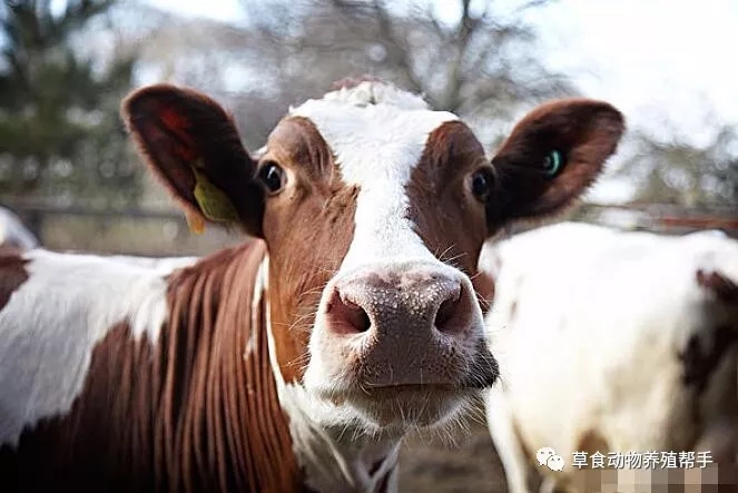 1562220882130734.jpg 640.webp.jpg