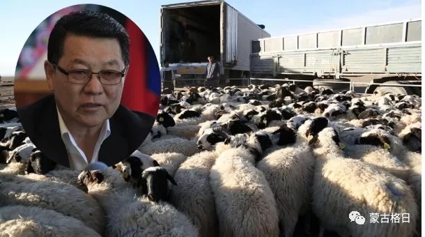 1562287827439913.jpg 640.webp.jpg