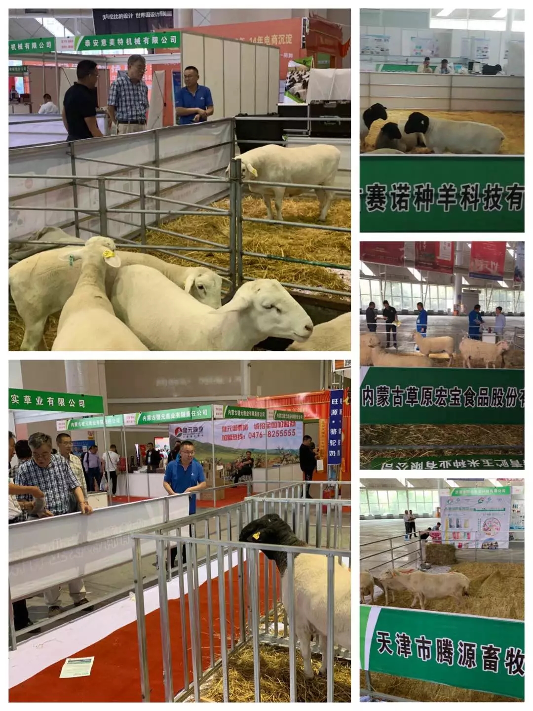 1562548631347008.jpg 640.webp (20).jpg