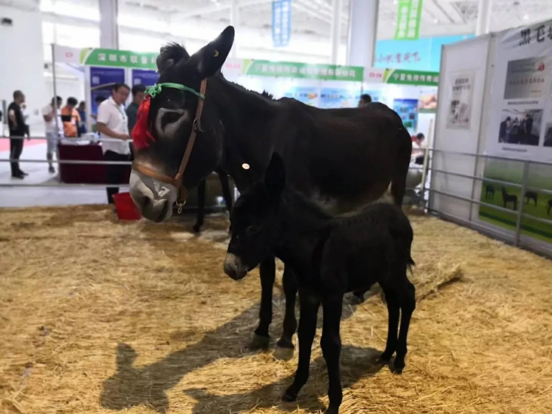 1562548635113513.jpg 640.webp (21).jpg