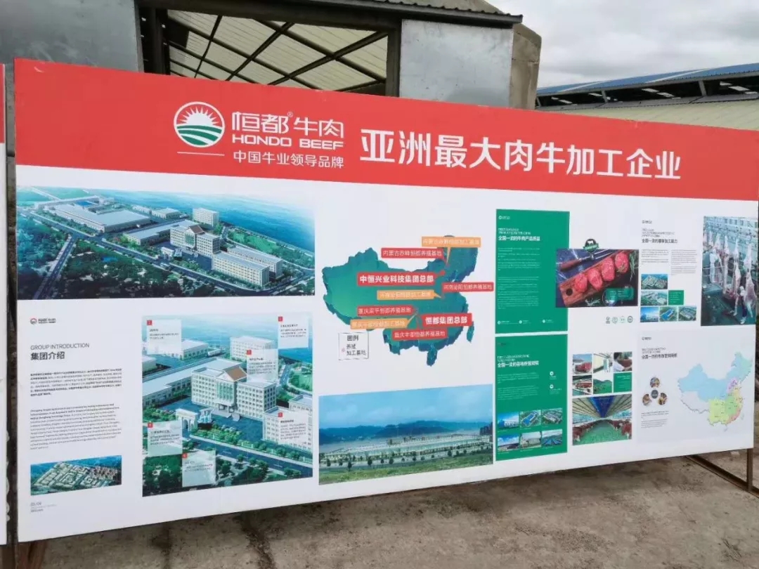 1562548693888778.jpg 640.webp (27).jpg