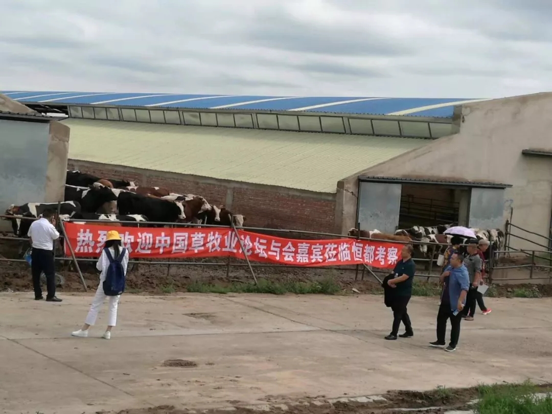 1562548738121418.jpg 640.webp (30).jpg