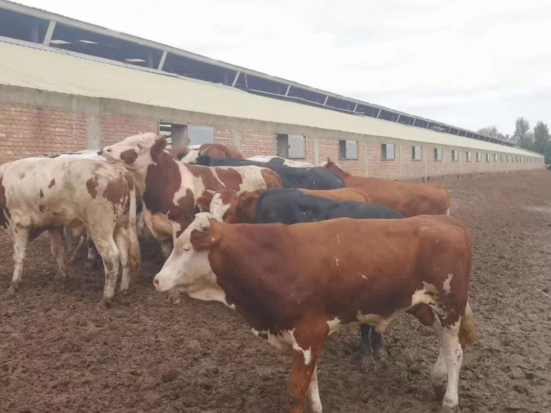 1562548766356001.jpg 640.webp (32).jpg