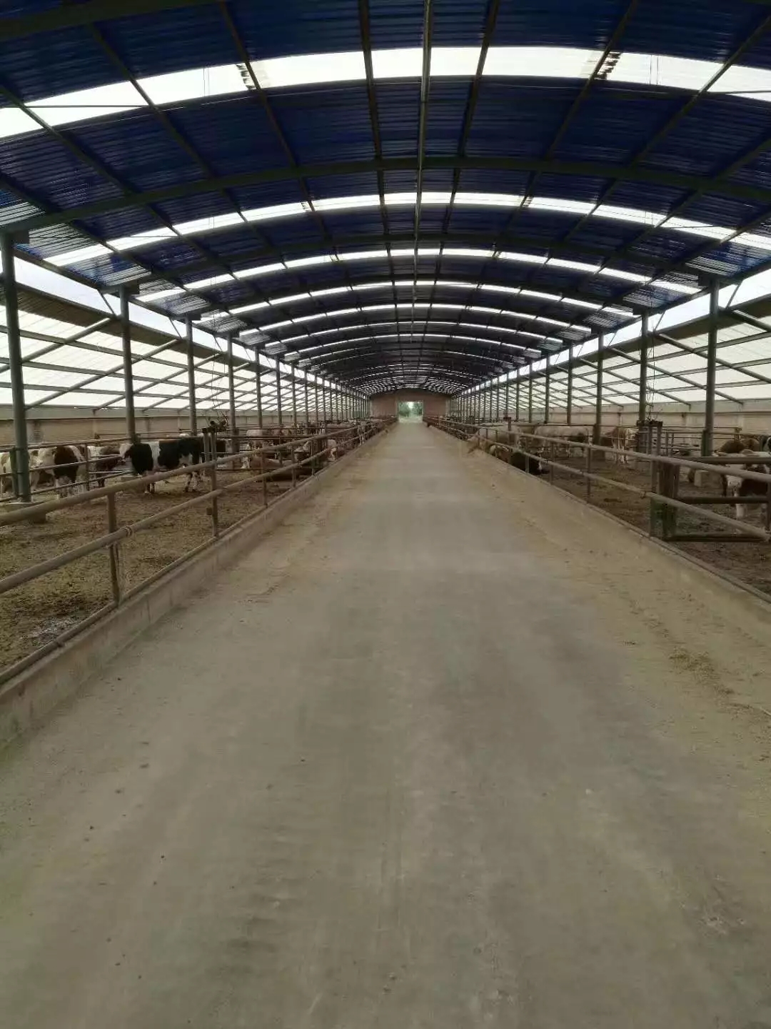 1562548778323599.jpg 640.webp (33).jpg