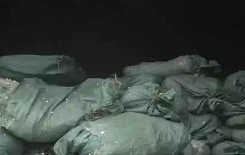 1563755842138519.jpg 640.webp (1).jpg