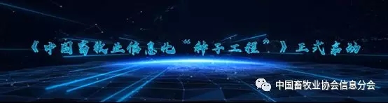 1564452126333840.jpg 640.webp (24).jpg