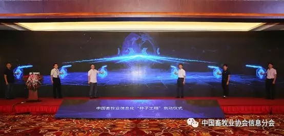 1564452144101421.jpg 640.webp (25).jpg