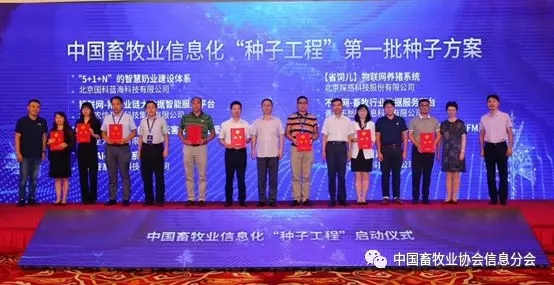 1564452174120067.jpg 640.webp (26).jpg