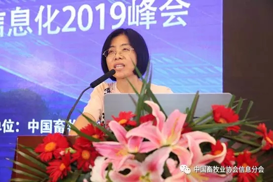 1564452232514531.jpg 640.webp (28).jpg