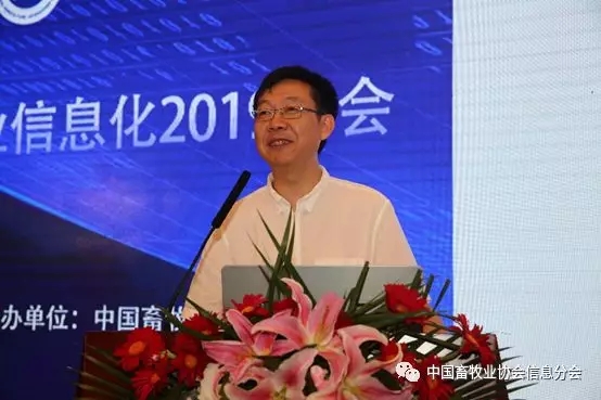 1564452277752066.jpg 640.webp (30).jpg