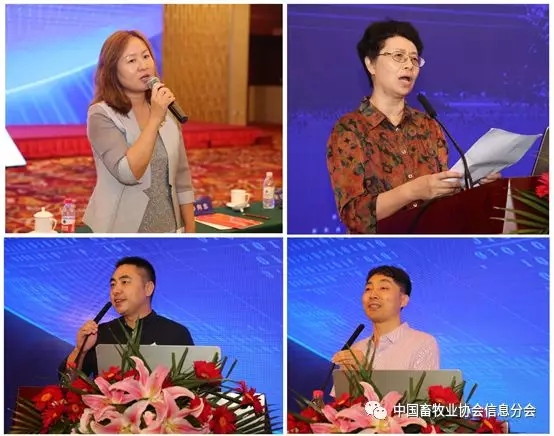 1564452518251348.jpg 640.webp (42).jpg