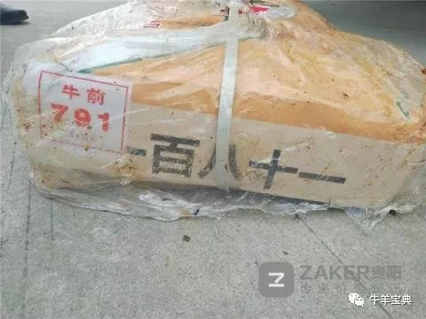 1564452933213007.jpg 640.webp (45).jpg