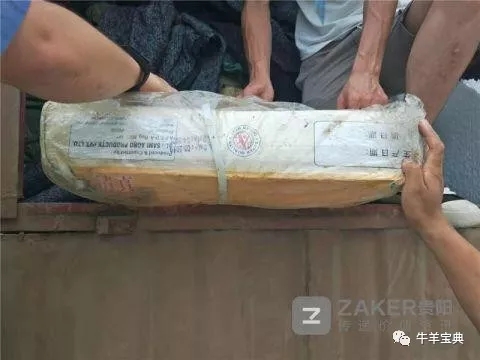 1564452948690918.jpg 640.webp (46).jpg