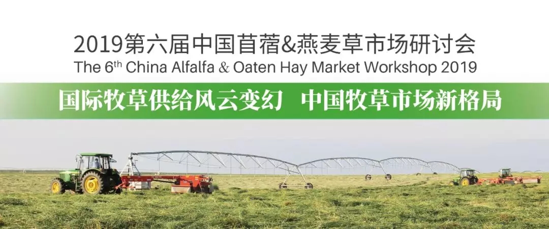 1565829948404541.jpg 640.webp (4).jpg