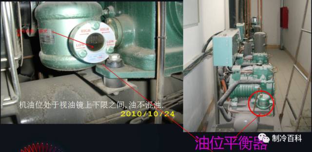 1565859625794323.jpg 3.jpg