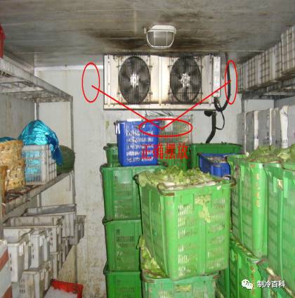 1565859731464657.jpg 10.jpg