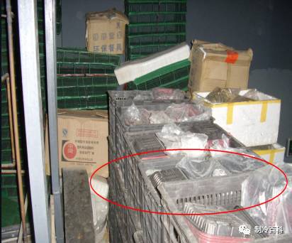 1565859787433243.jpg 13.jpg