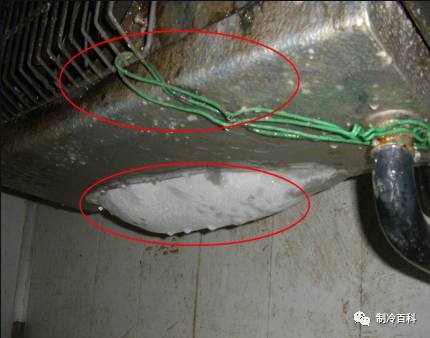 1565859830598141.jpg 15.jpg