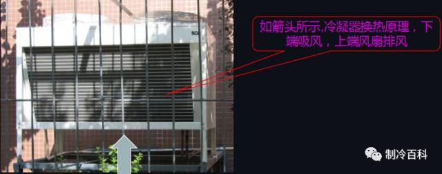 1565859920823327.jpg 19.jpg