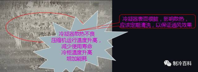 1565859924341328.jpg 20.jpg