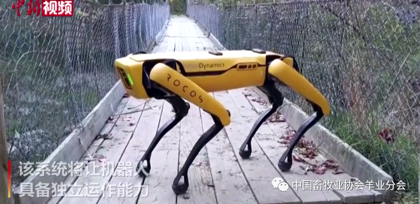 微信图片_20200620113438.png