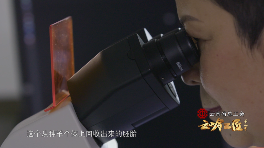 微信图片_20200712091725.png