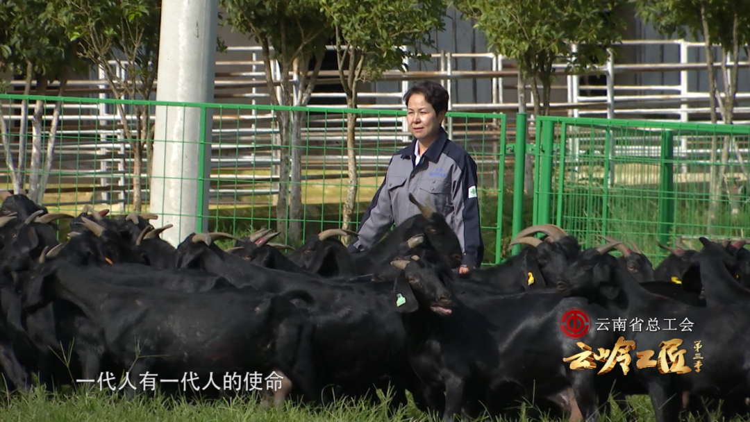 微信图片_20200712091800.png