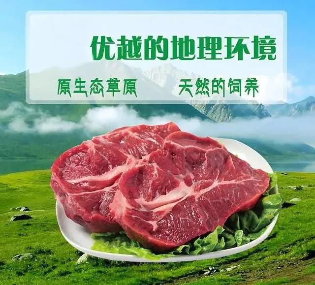 微信图片_20200715152047.jpg