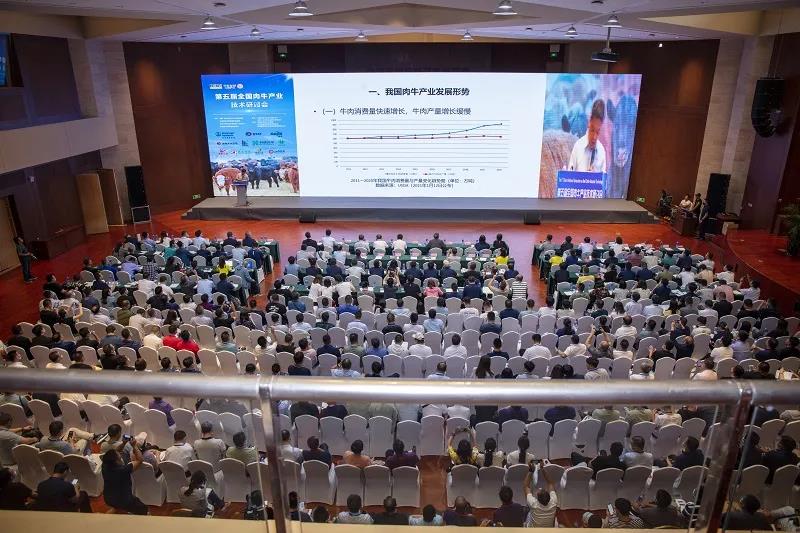 1623804837119589.jpg 1623804837119589.jpg